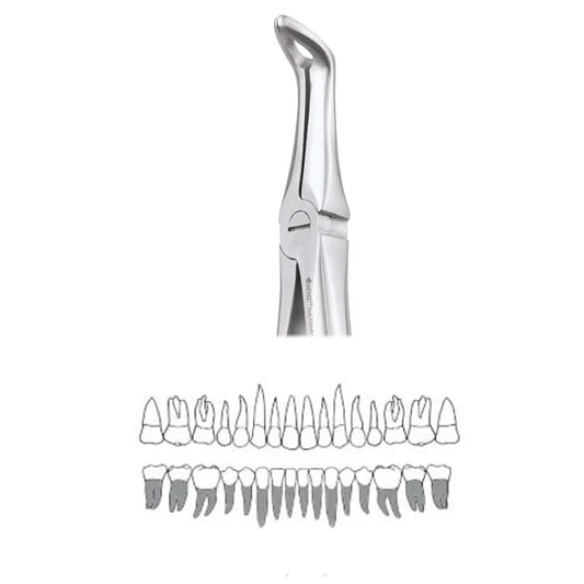 GDC Extraction Forceps Lower Roots - 45 Standard (Fx45s)