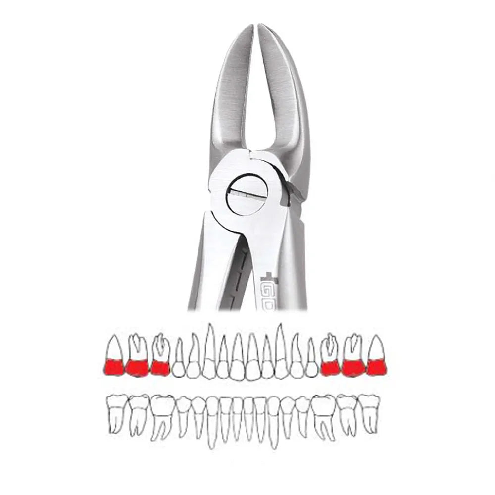 GDC Extraction Forceps Separating Upper Molars - 55 Standard (FX55S)