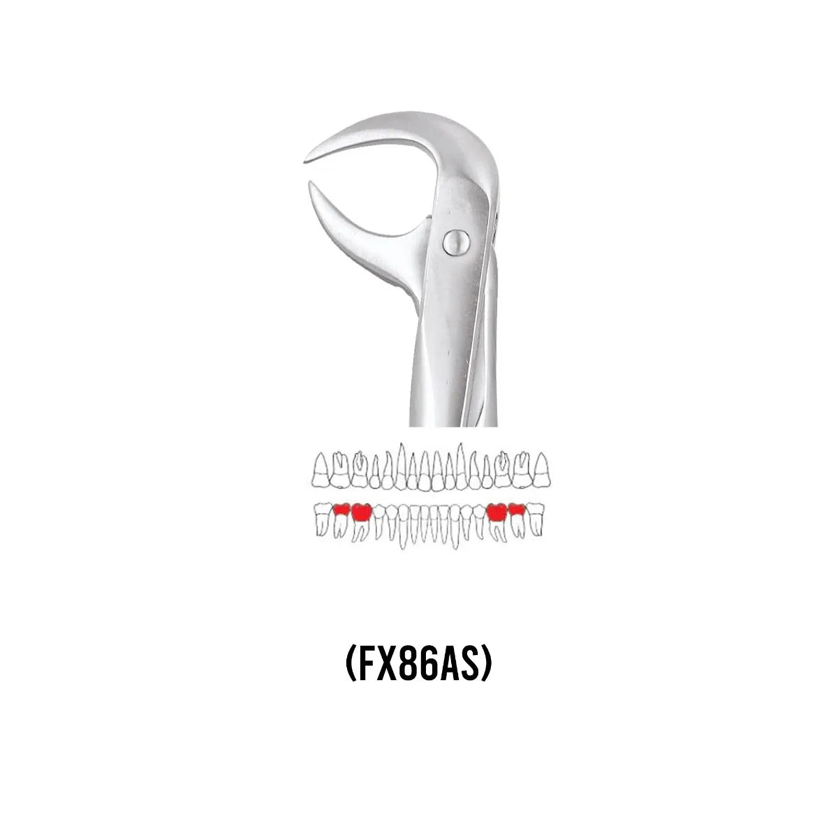 GDC Extraction Forceps Lower Molars - 86A Standard (FX86AS)