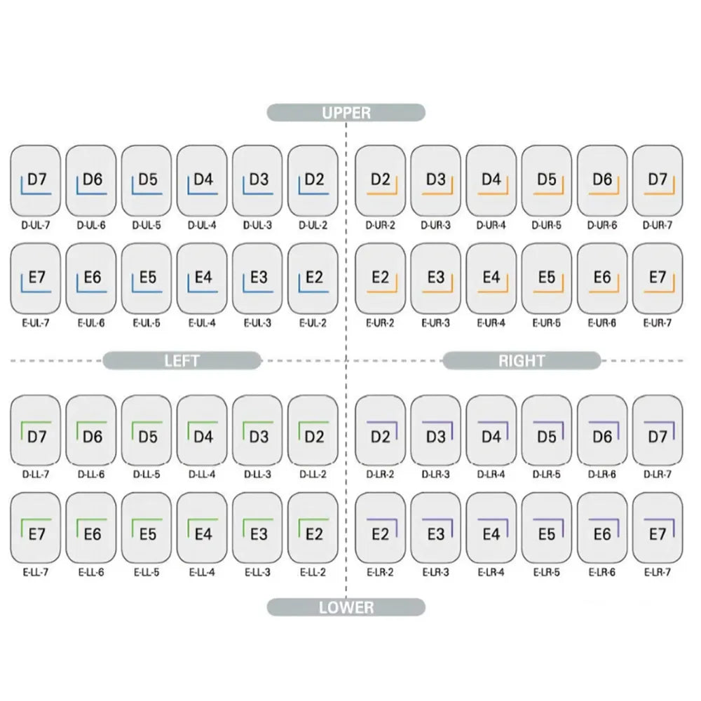 LD Pedo SS Crown Starter Kit LD-CR48