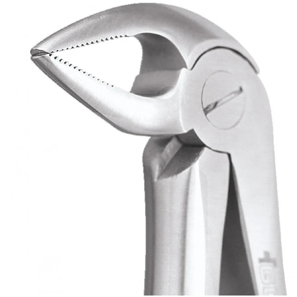 GDC Extraction Forceps Lower Roots - 33A Standard (FX33AS)