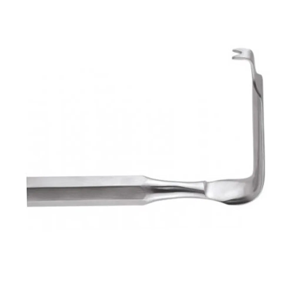 GDC Austin Cheek Retractor With Handle (TRA1)