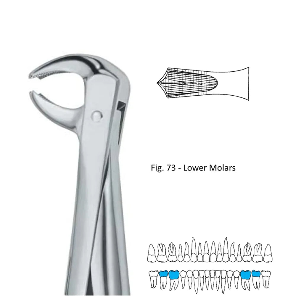 GDC Extraction Forceps Lower Molars - 73 Standard (FX73S)