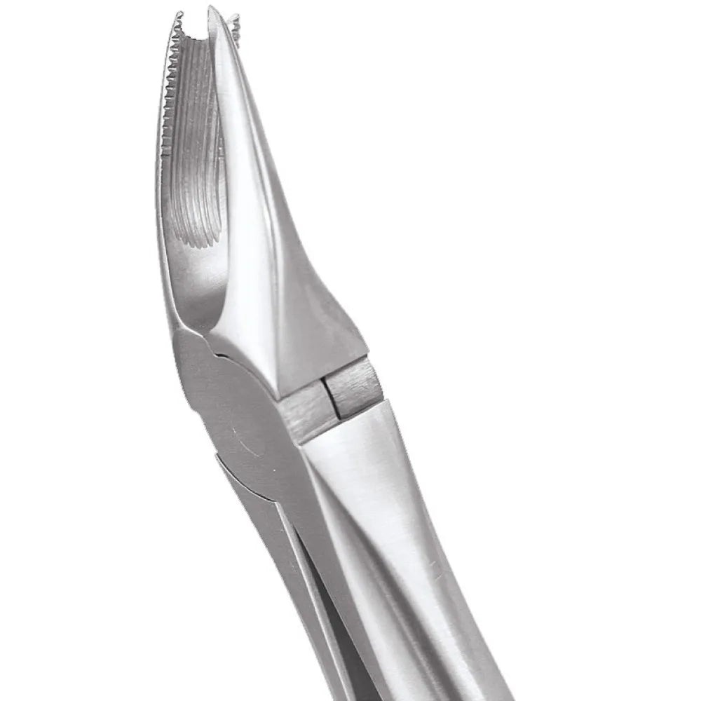 GDC Extraction Forceps Upper Molar Right Premium Cowhorn- FX89P