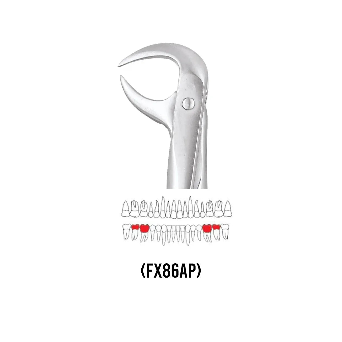 GDC Extraction Forceps Lower Molars - 86A Premium (FX86AP)