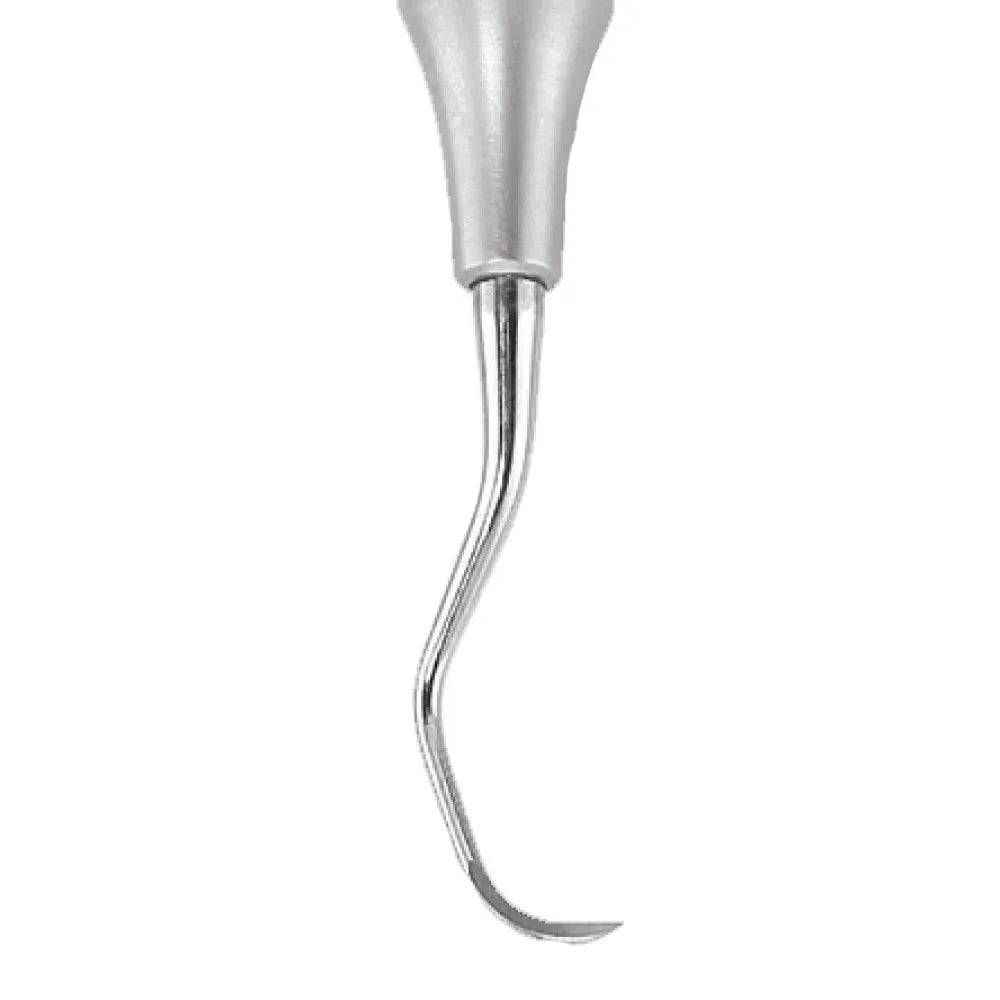 GDC Sickle Scalers Posterior #6 (Sn135)