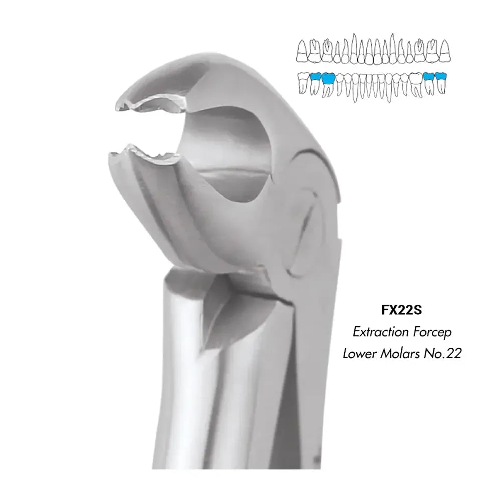 GDC Extraction Forceps Lower Molars - 22 Standard (FX22S)