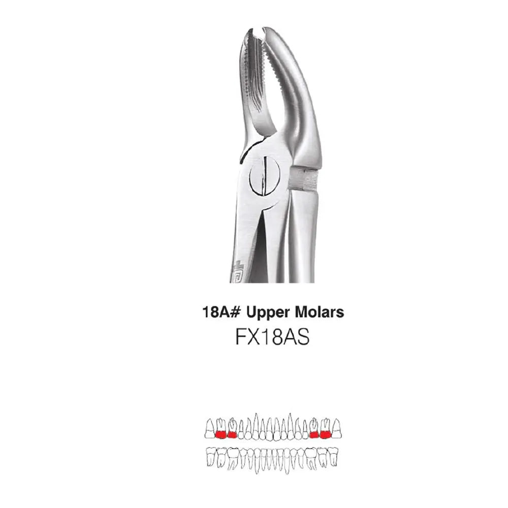 GDC Extraction Forceps Upper Molar Standard 18A (FX18AS)