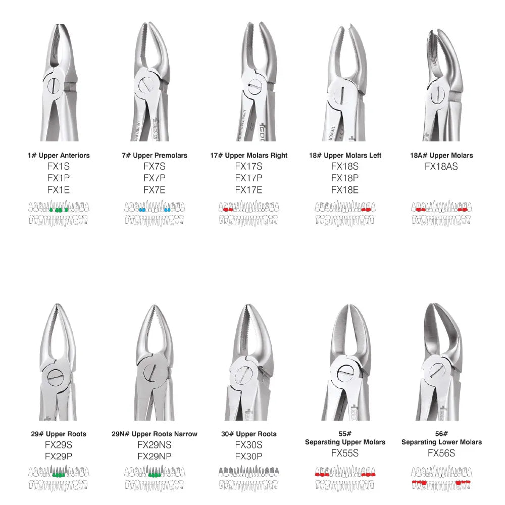 GDC Extraction Forceps Standard