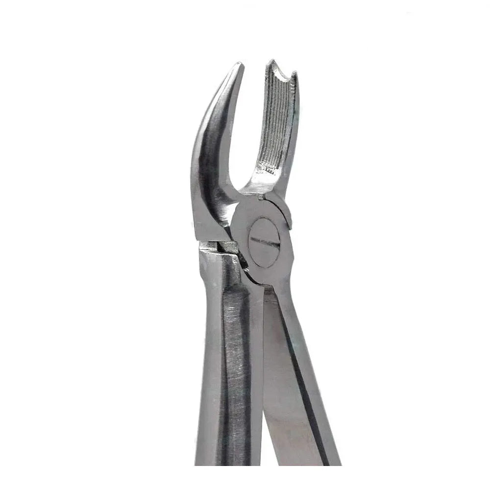 GDC Extraction Forceps Upper Molars Right Standard - (FX89S)