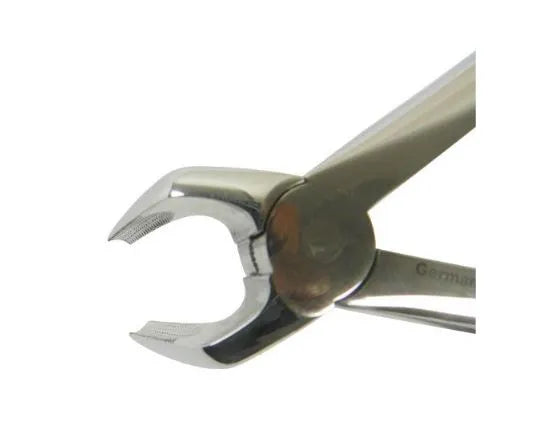 Eltee Forceps Lower Premolars 08 - EF-008