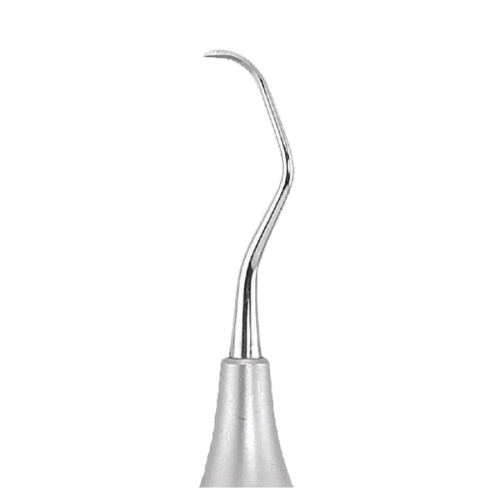 GDC Sickle Scalers Posterior #6 (Sn135)