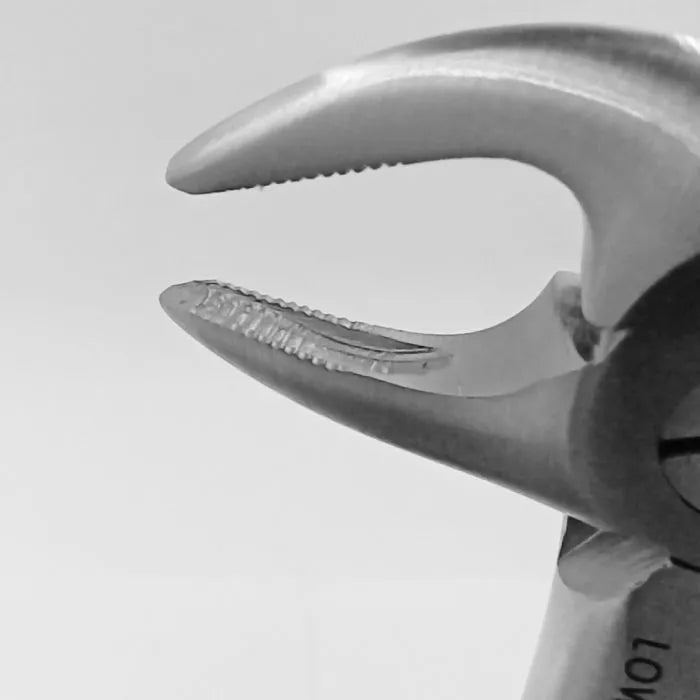 GDC Extraction Forceps Lower Roots - 33 Standard (FX33S)