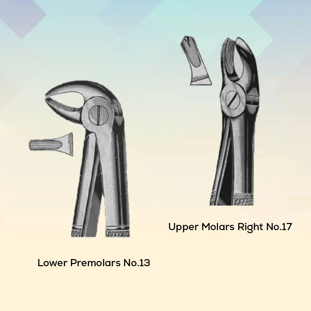 Handle-Set Of 12