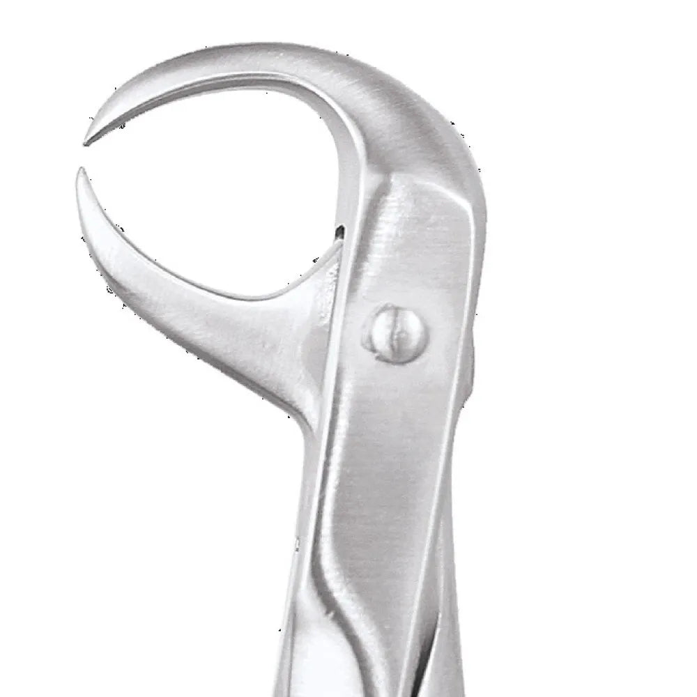 GDC Extraction Forceps Premium In Pouch Premium (EFPP12)