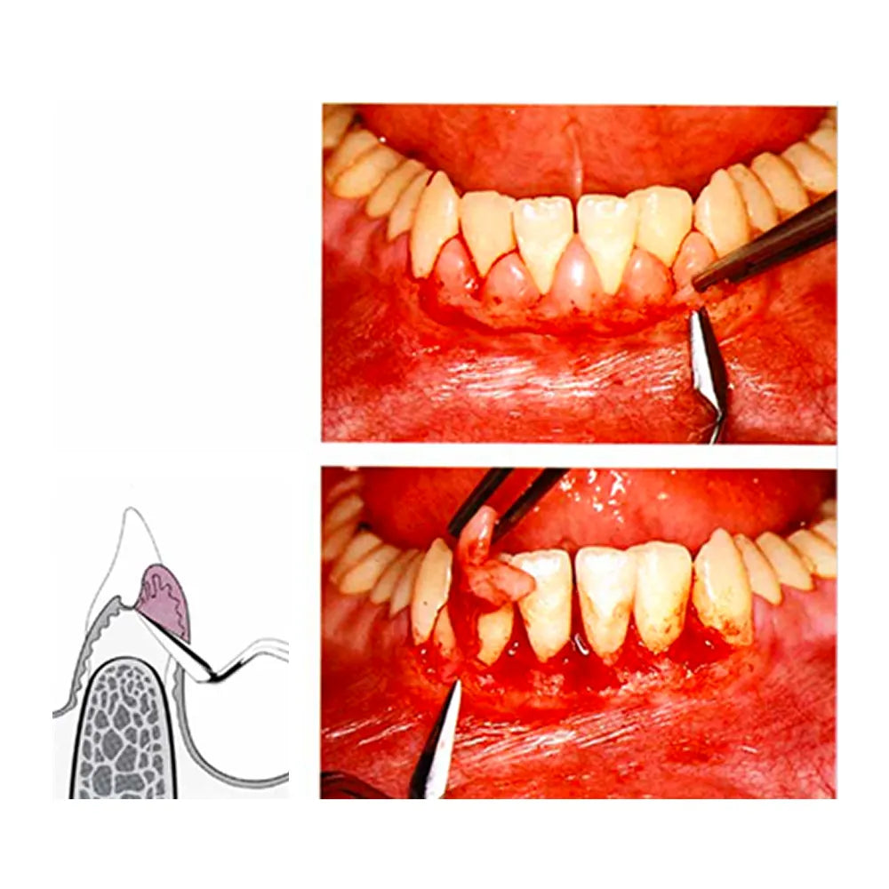 GDC Buck Knife #6 (Kb5/6)