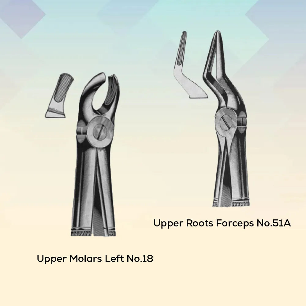 Handle-Set Of 12