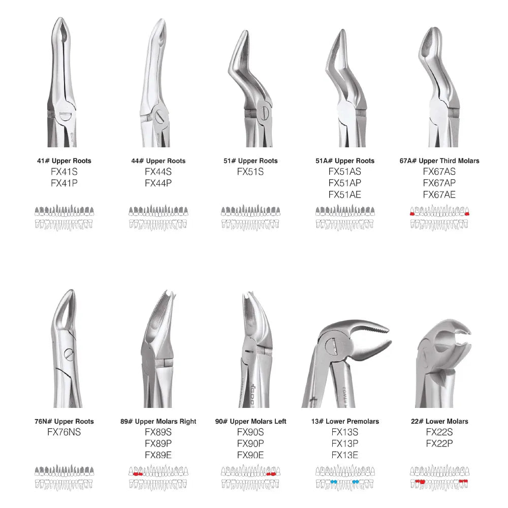 GDC Extraction Forceps Standard