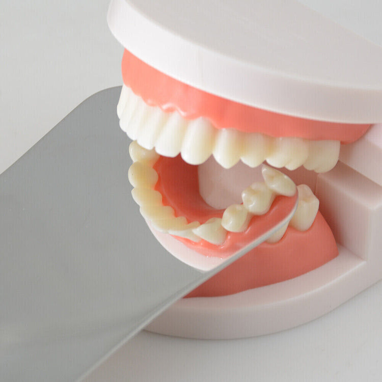 Denmax Intra-Oral Photo Mirror