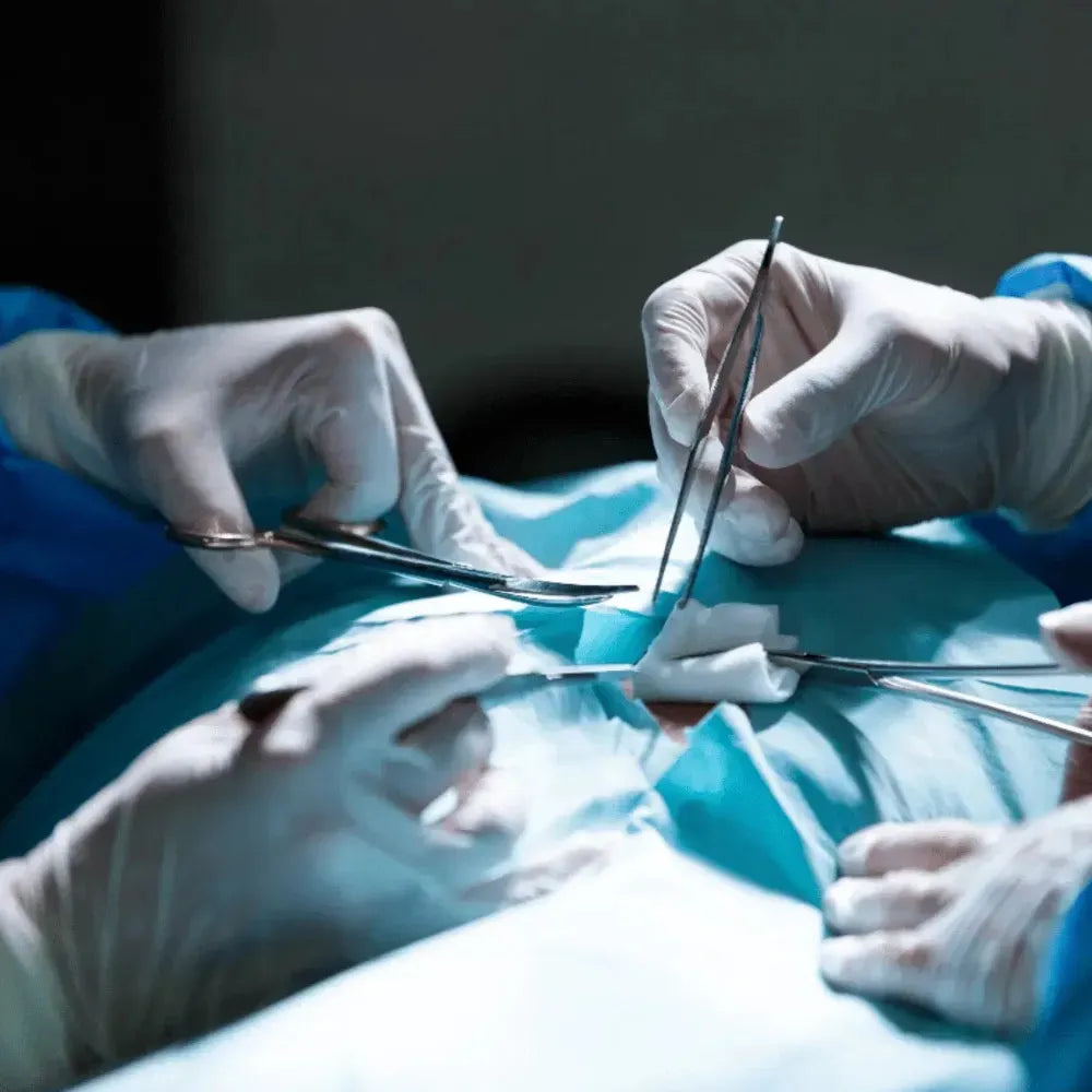 GDC Scissors Goldman Fox - Double Curved Standard 13cm (S10)