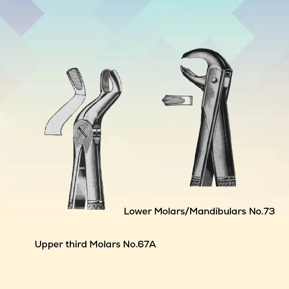 Handle-Set Of 12