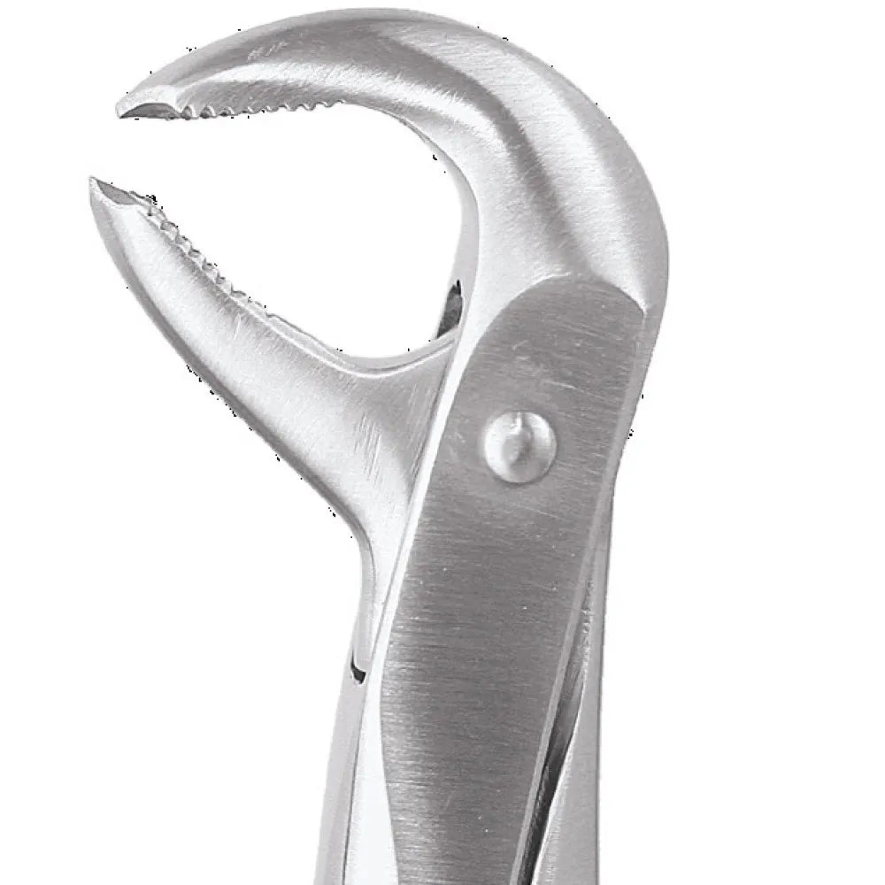 GDC Extraction Forceps Premium In Pouch Premium (EFPP12)