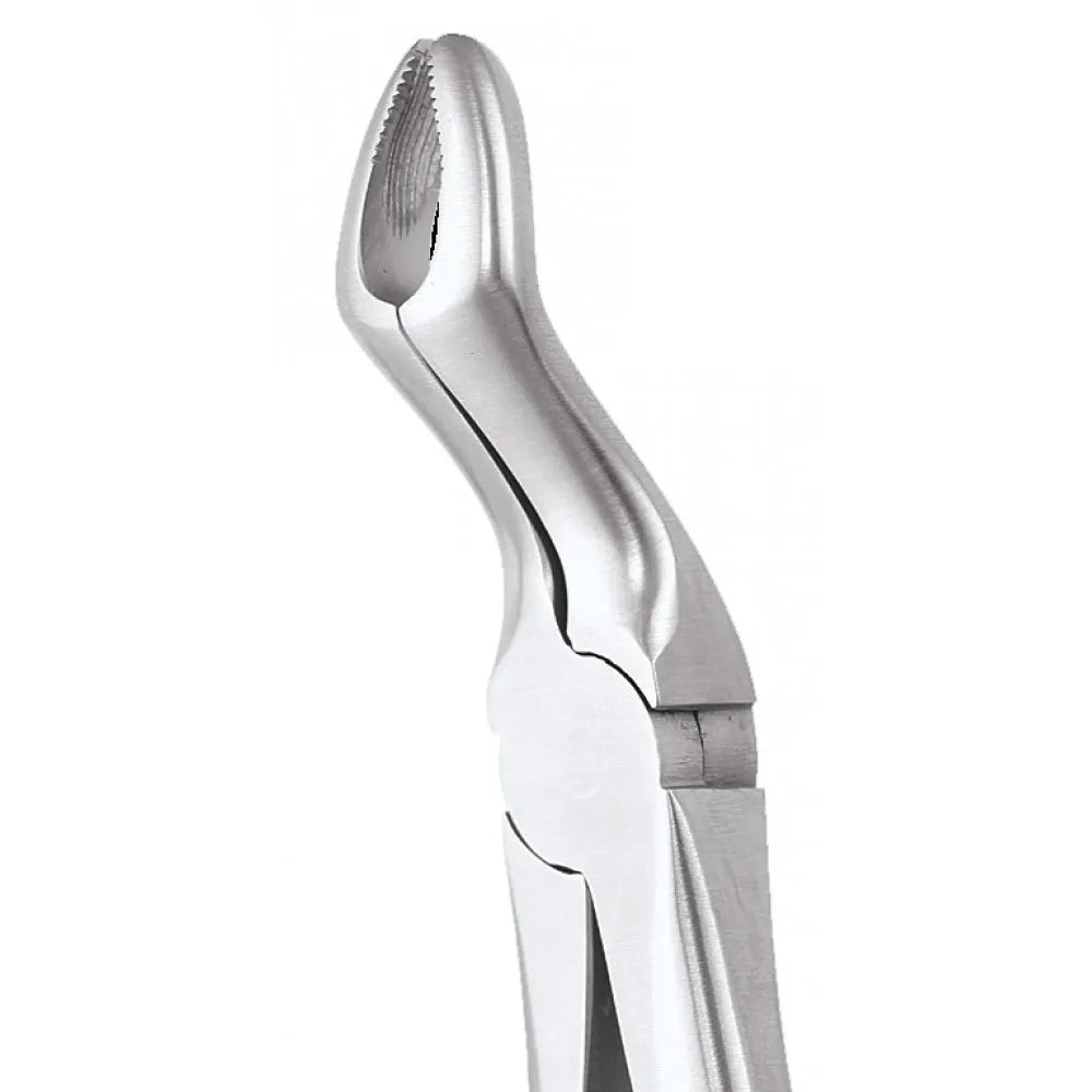 GDC Extraction Forceps Premium In Pouch Premium (EFPP12)