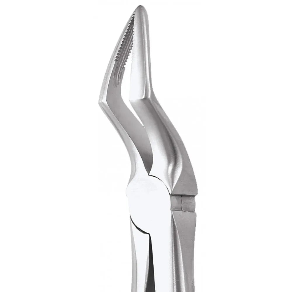 GDC Extraction Forceps Premium In Pouch Premium (EFPP12)