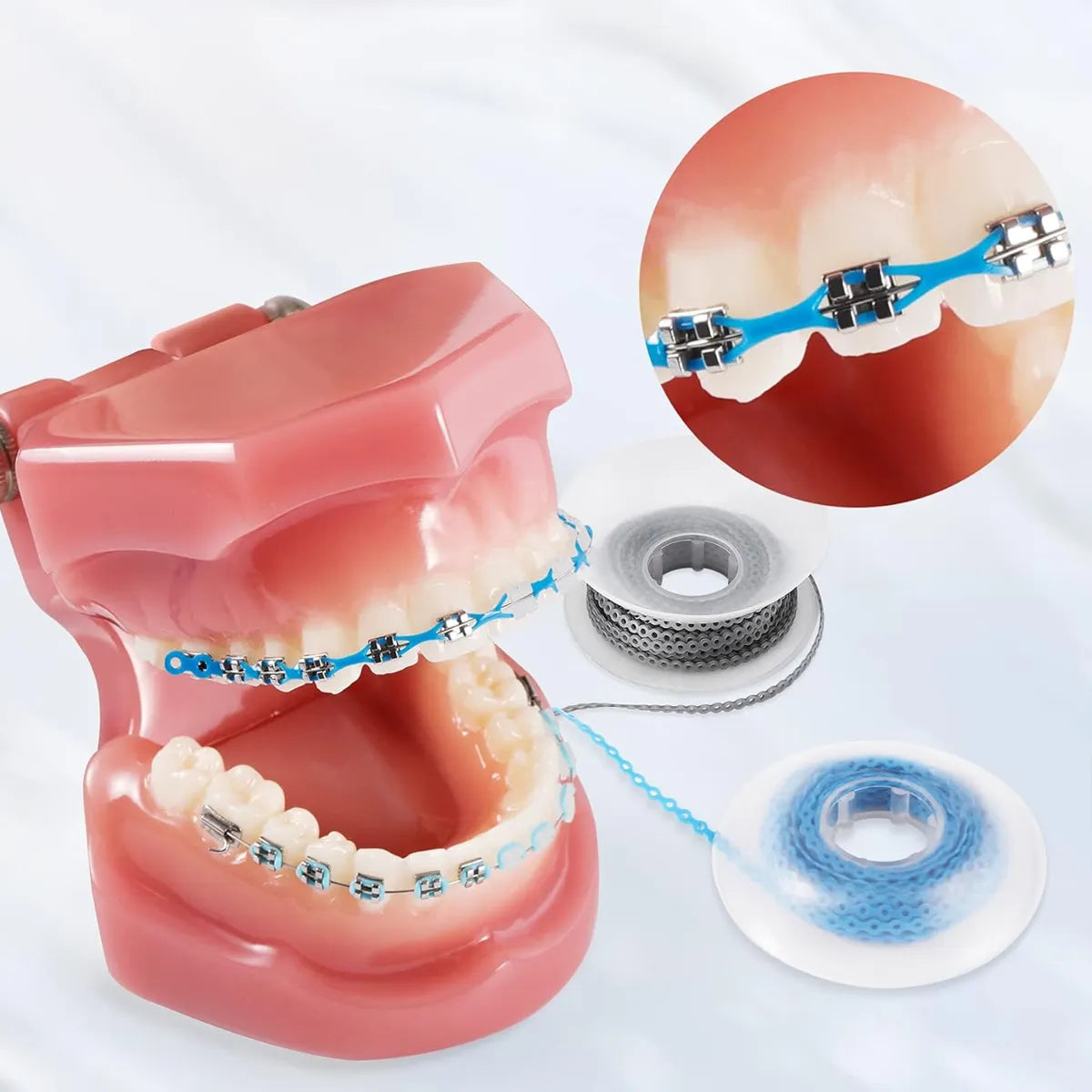 JJ Ortho E-Chain Continuous