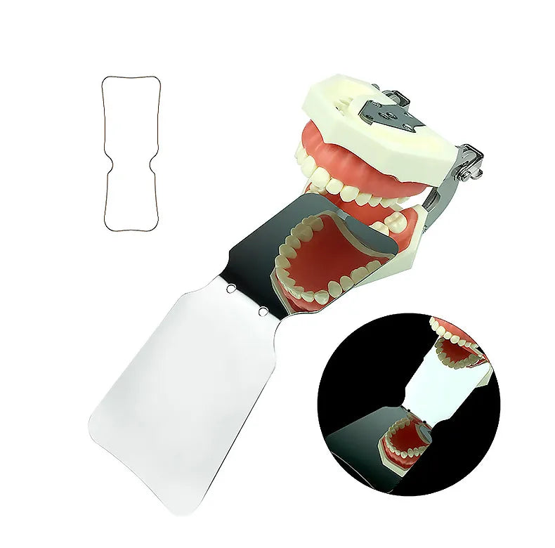U Ortho Double Sided Stainless Steel Photographic Mirrors Angulated