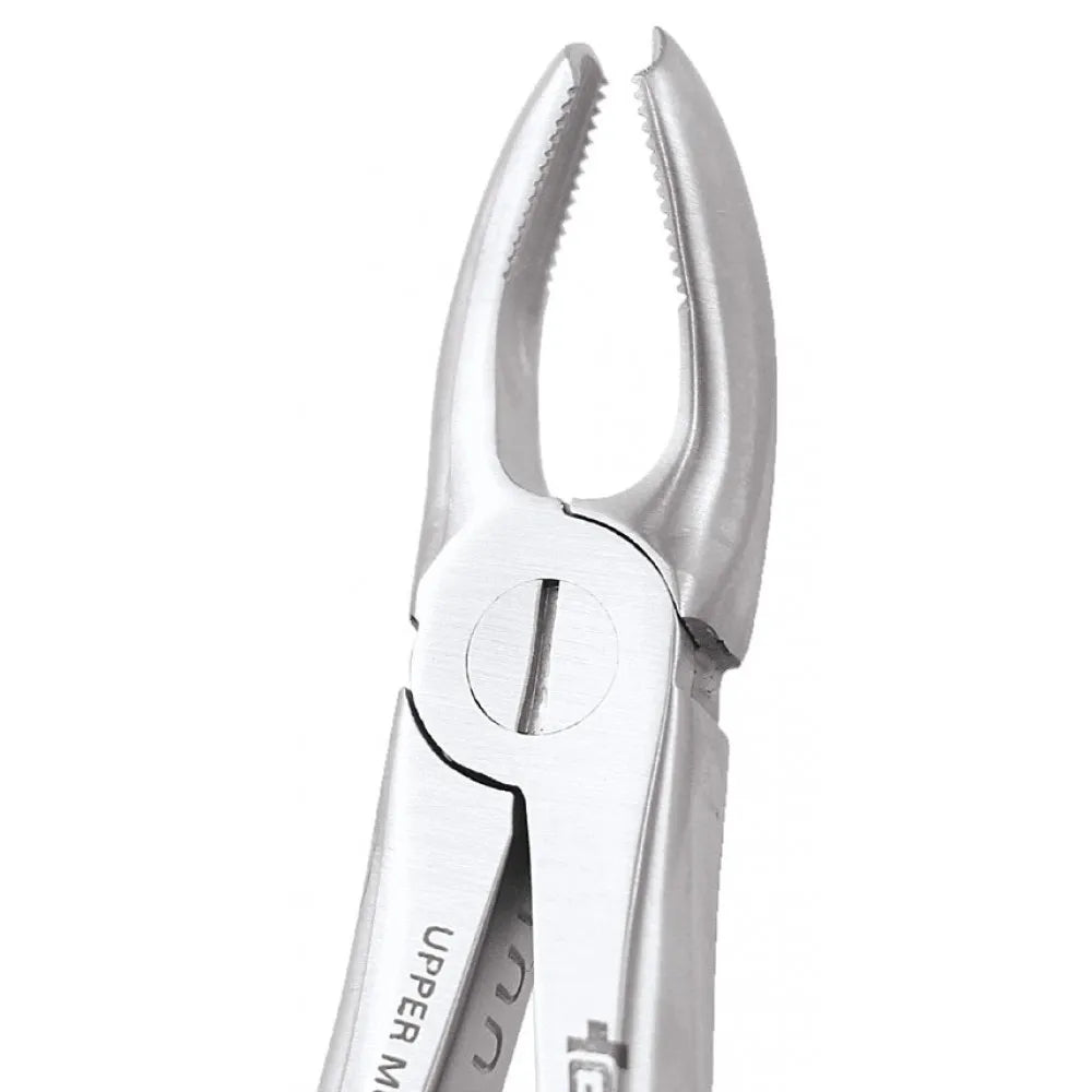 GDC Extraction Forceps Premium In Pouch Premium (EFPP12)