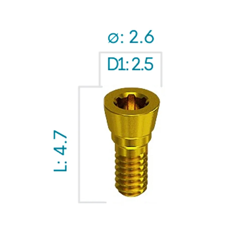 Adin Closefit NP Implant Cover Screw (NP0073)