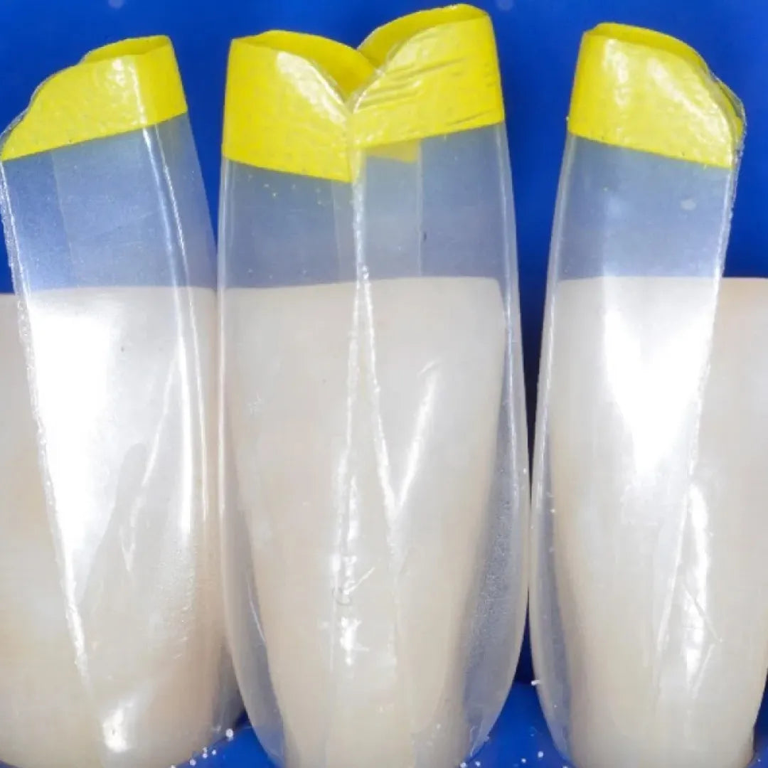 Buy Bioclear Black Triangle Procedure Matrix System Kit – Oralkart