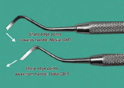 Dental GMT (Gingival Margin Trimmer)