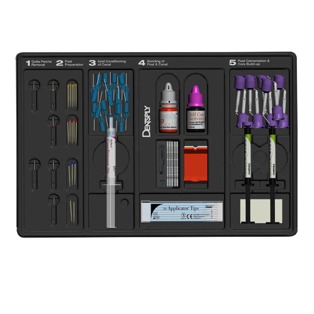 Dentsply Core & Post System Kit
