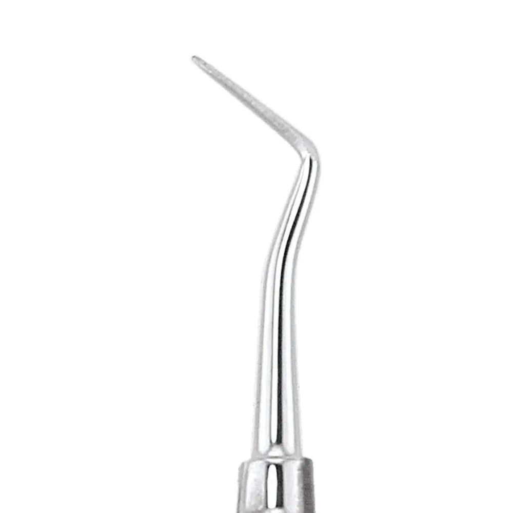 GDC Carver Ward - 4 (Cvwr1s)