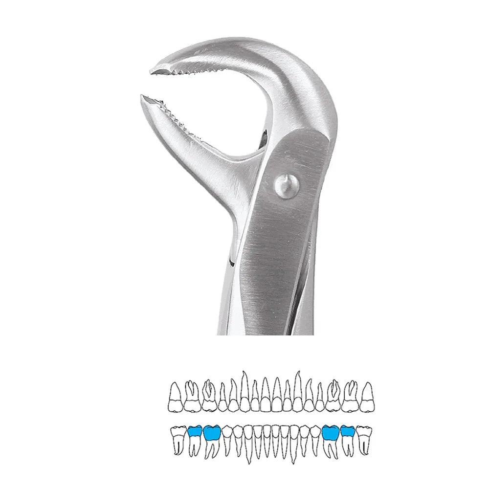 GDC Extraction Forceps Lower Molars - 73 Premium (FX73P)