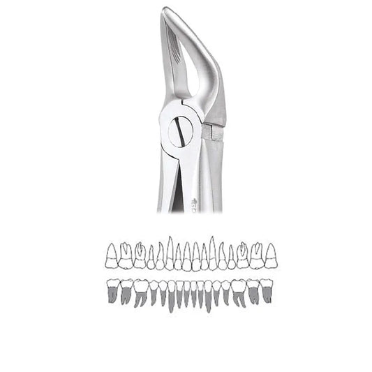 
GDC Extraction Forceps Lower Roots - 31 Standard (FX31S)
