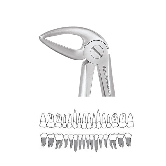 GDC Extraction Forceps Lower Roots - 33L Standard (FX33LS)