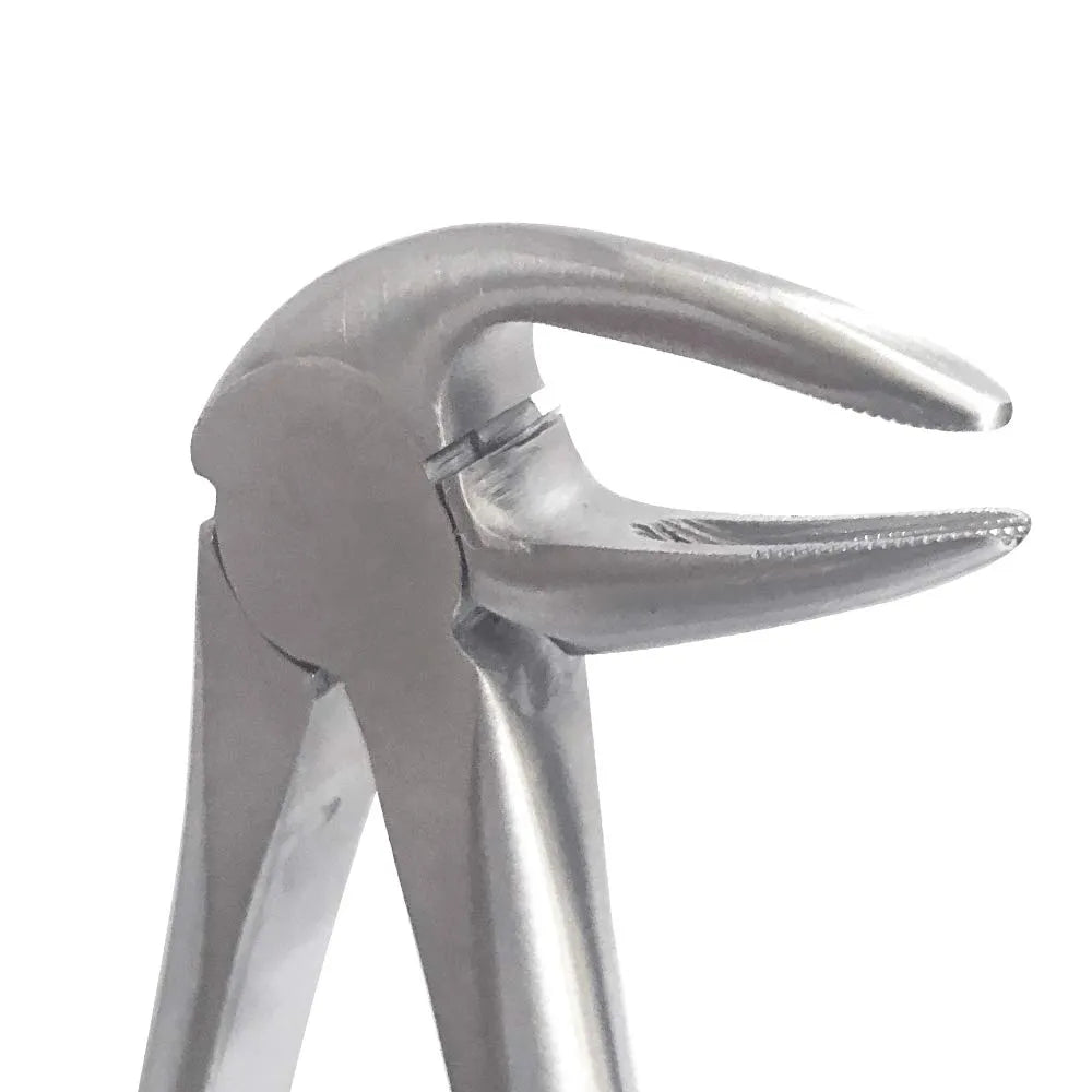 GDC Extraction Forceps Lower Roots - 33L Standard (FX33LS)