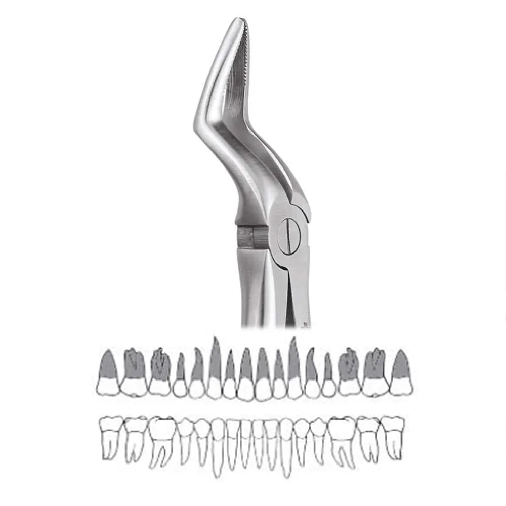 GDC Extraction Forceps Upper Roots - 51 Standard (FX51S)