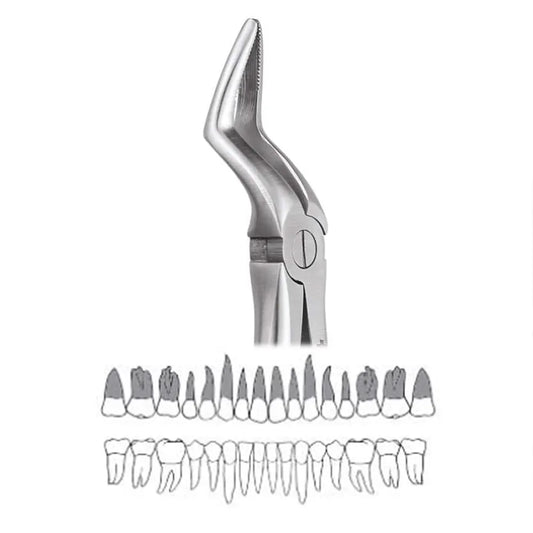 GDC Extraction Forceps Upper Roots - 51 Standard (FX51S)