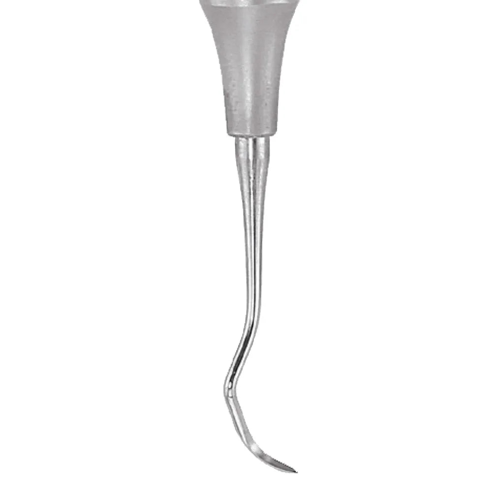 GDC Mccall Curettes #6 (Sm11/12)