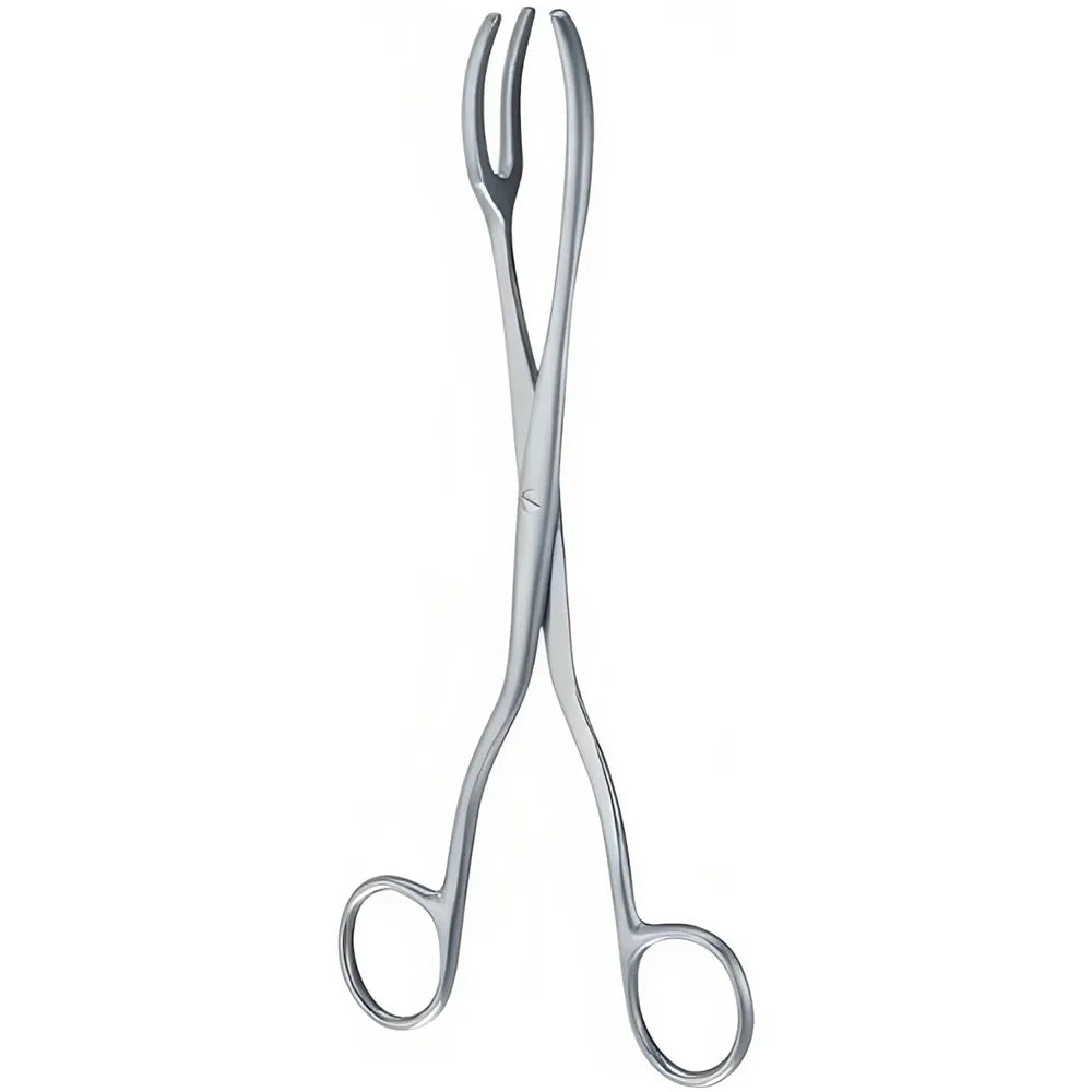 GDC Sterilizing Forceps Rogge (20cm) (Rf20)