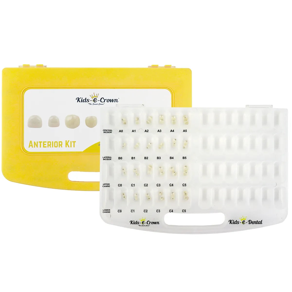 Kids-e-Crown Anterior Master Kit -Universal Canines & Incisors