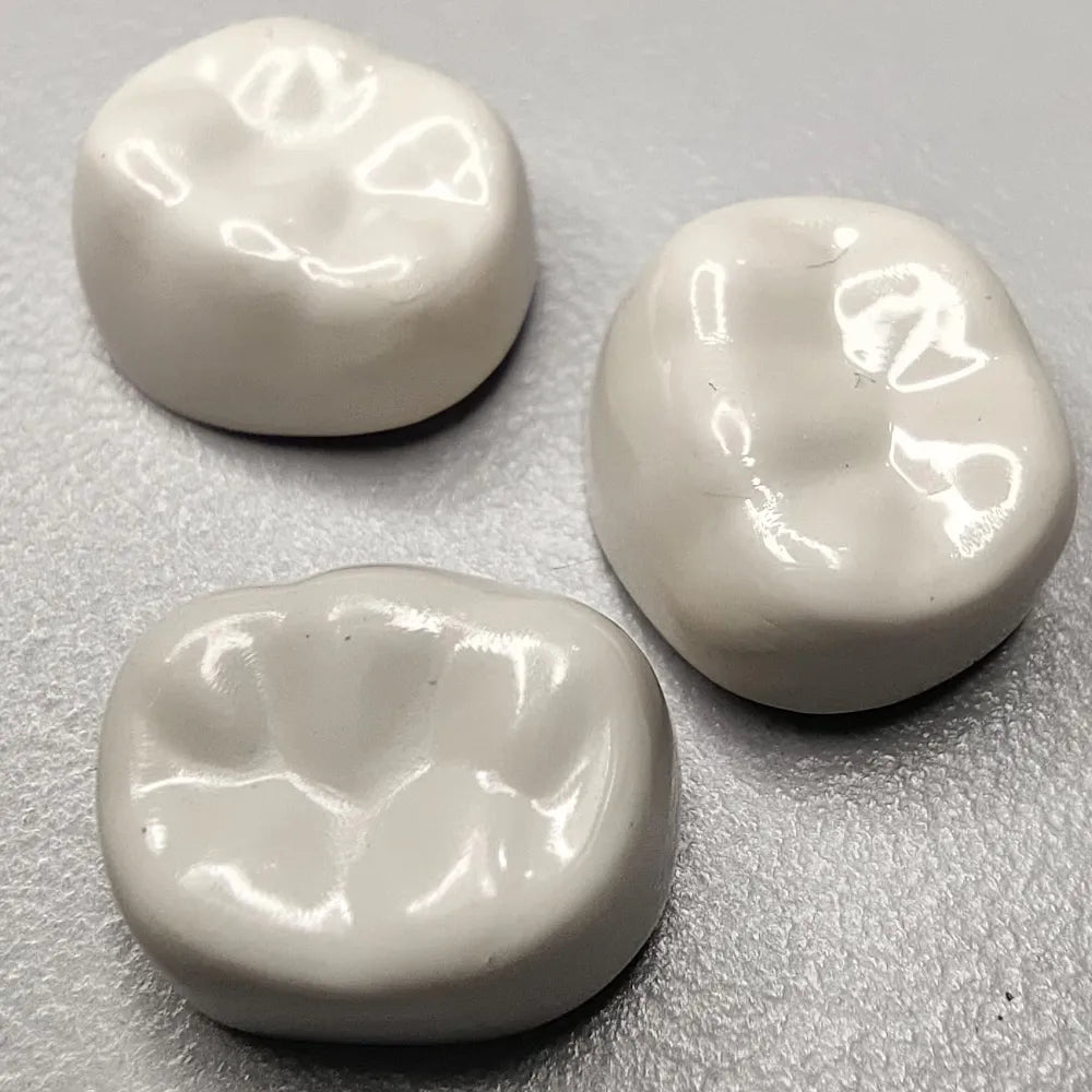 Kids-e-Dental BioFlx Lower Left 2nd Molar Crowns Refills