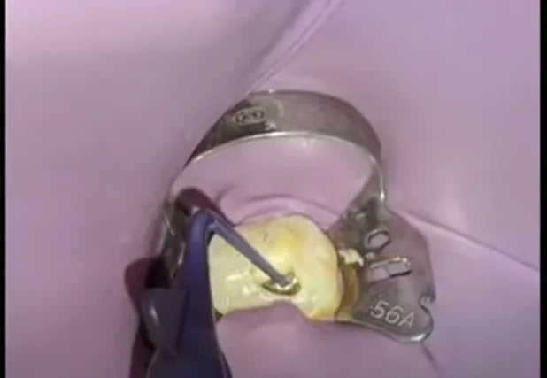 NT Biocera Flo Bioceramic Root Canal Sealer