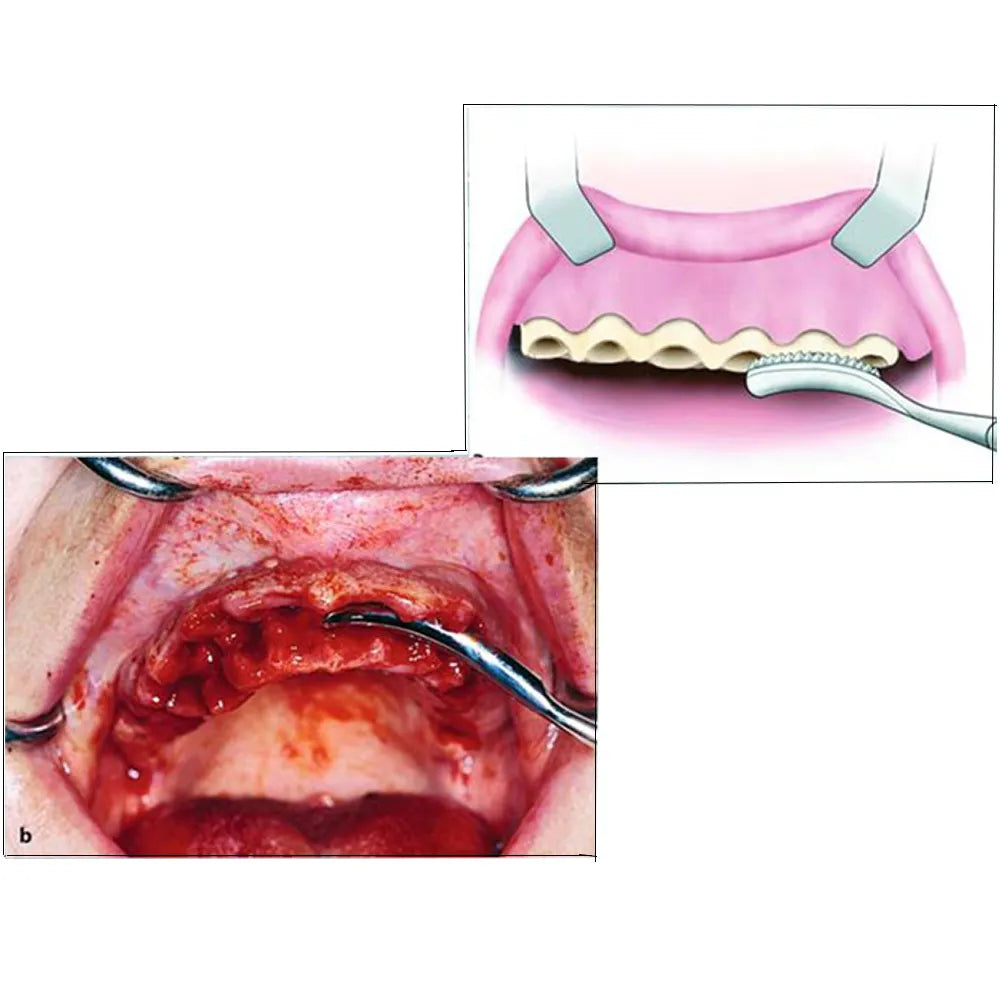 Oracraft Bone File Miller 52 - BF52