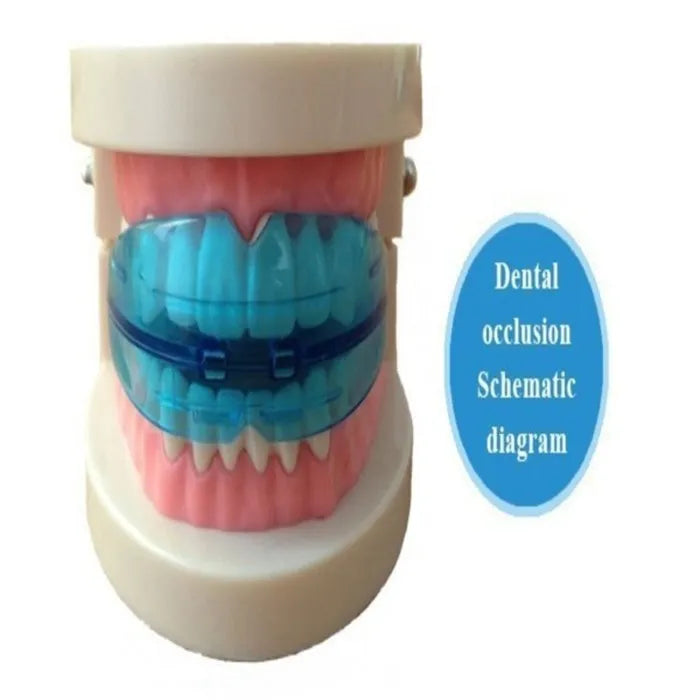 Orthodontic Trainer & Retainer