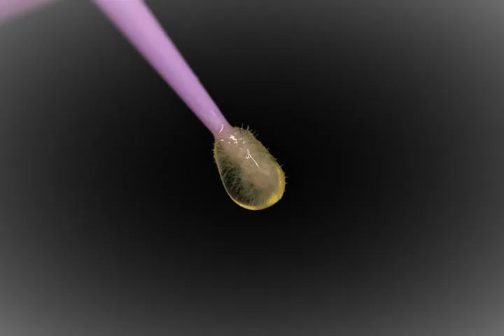 Rubydent RubySE Bond Universal Self Etch Bond
